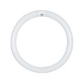 Product Image of 32 Watt - T9 - Circline Fluorescent Bulb 6500K Daylight - 76 CRI - 4-Pin base (8 Pack)