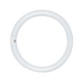 Product Image of 40 Watt - T9 - Circline Fluorescent Bulb 4100K Cool White - 62 CRI - 4-Pin base (4 Pack)