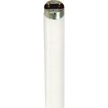 Product Image of 32 Watt - T8 - Fluorescent Bulb 4100K Cool White - Medium Bi Pin base - TF Shatter Proof (4 Pack)