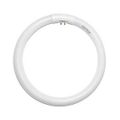 Product Image of 22 Watt - T5 - Circline Fluorescent Bulb 4100K Warm White - 82 CRI - 4-Pin base G10Q (2 Pack)