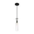Product Image of Spyglass 1 Light Mini Pendant Fixture Black Finish w/ Clear Glass