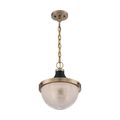 Product Image of Faro 1 Light Large Pendant Fixture Burnished Brass Finish w/ Black Accents Clear Prismatic Glass
