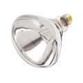 Product Image of 250 Watt R40 Incandescent Bulb - Clear Heat - 6000 Average rated hours - Medium base - 120 Volt (10 Pack)