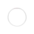 Product Image of 22 Watt - T5 - Circline Fluorescent Bulb 6500K Daylight - 82 CRI - 4-Pin base (2 Pack)