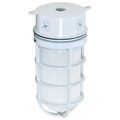 Product Image of 1 Light 10" Industrial Style Surface Mount w/ Frosted Glass White Finish