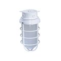 Product Image of 1 Light 11" Industrial Style Surface Mount w/ Frosted Glass White Finish