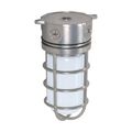 Product Image of 1 Light 10" Industrial Style Surface Mount w/ Frosted Glass Metallic Silver Finish
