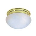 Product Image of 2 Light 10" Flush Mount Medium Alabaster Mushroom Polished Brass Finish (Pack of 2)