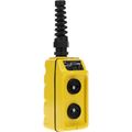 Product Image of Pendant Control Station, Momentary, 4NO/4NC, No Legend 2 Pushbutton Operators, Flush Push Button Operator, 1, 3, 3R, 4 & 4X NEMA Rating, Yellow, 9001BW90YU
