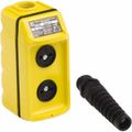 Product Image of Pendant Control Station, Momentary, 4NO/4NC, No Legend 2 Pushbutton Operators, Flush Push Button Operator, 1, 3, 3R, 4 & 4X NEMA Rating, Yellow, 9001BW91YU