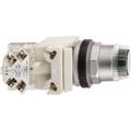 Product Image of Push-Button Switch, 1.18" Mounting Hole Dia, Momentary, NC/NO, 600V, Illuminated, 9001K1L35GH13