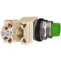 Product Image of Push-Button Switch, 30 mm Mounting Hole Dia, Momentary, NC/NO, 600VAC, Illuminated, Incandescent, 9001K2L35GH13