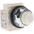 Product Image of 120 VAC White Lens Indicating Light, Screw Clamp, 9001KP1W31