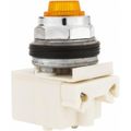 Product Image of 28 V Amber Lens Indicating Light, Screw Clamp, 9001KP35A31
