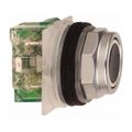 Product Image of Push-Button Switch, 30 mm Mounting Hole Dia, Momentary, NC/NO, 600VAC, 9001KR1BH13