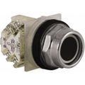 Product Image of Push-Button Switch, 30 mm Mounting Hole Dia, Momentary, NC/NO, 600VAC, 9001KR2BH13