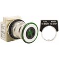 Product Image of Push-Button Switch, 1.18" Mounting Hole Dia, Maintained & Momentary, 600V, Illuminated, 9001KR8P1G
