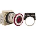 Product Image of Push-Button Switch, 30 mm Mounting Hole Dia, Maintained & Momentary, 600V, 9001KR8P1R