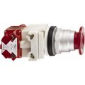 Product Image of Push-Button Switch, 30 mm Mounting Hole Dia, Maintained & Momentary, NC/NO, 600VAC, 9001KR8P1RH25