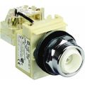 Product Image of 120 VAC Indicating Light, Screw Clamp, 9001KT1