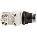 Product Image of Push-Button Switch, 30 mm Mounting Hole Dia, Momentary, NC/NO, 600VAC, 9001SK1L1GH13