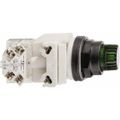 Product Image of Push-Button Switch, 30 mm Mounting Hole Dia, Momentary, NC/NO, 600VAC, 9001SK2L1GH13