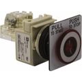 Product Image of Push-Button Switch, 30 mm Mounting Hole Dia, Maintained, NC/NO, 120VAC, 9001SKR9P1RH13