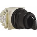 Product Image of 3 Position Selector Switch, Maintained (MA), 600Vac, 10 Amp, Black Knob & Push Button NEMA1, 12, 13, 2, 3, 3R, 4, 4X & 6, 9001SKS46BH2