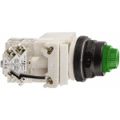 Product Image of 120 V Green Lens LED Press-to-Test Indicating Light Octagonal Lens, Screw Clamp, Vibration Resistant, 9001SKT38LGG31
