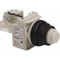 Product Image of 120 V White Lens LED Press-to-Test Indicating Light, 9001SKT38LWW31