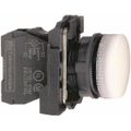 Product Image of 24 VAC/VDC at 50/60 Hz White Lens LED Pilot Light, Screw Clamp, XB5AVB1