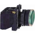 Product Image of Green Push-Button Switch, 22 mm Mounting Hole Dia, Momentary, NC/NO, Illuminated, LED, XB5AW33B5