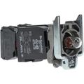Product Image of 110-120 V Incandescent Indicating Light, Screw Clamp, ZB4BW035
