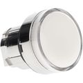 Product Image of 22mm Illuminated Push-Button Switch, ZB4BW31