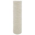 Product Image of 5 Micron Filter Replacement for 10" Filter Housing