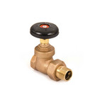 Product Image of 1" (FIP x Male Union) Steam Radiator Gate Valve, SGV-1001