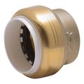 Product Image of 1" SharkBite PVC Cap, UIP520A