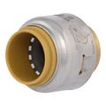 Product Image of 1/2" SharkBite Max EndStop (Lead Free), UR514A