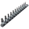 Product Image of 3/8" Drive Torx Bit Socket Set with Rail, 12-Piece (T10-T60)