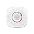 Product Image of Wi-Fi Propane Gas (LPG) Detector
