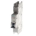 Product Image of SENTRON Miniature Circuit Breaker, 1-Pole, 10A, C-Curve, 240V, 14kA, UL 489