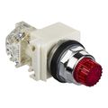 Product Image of 30mm Mounting Hole Dia. Momentary (MO) NC/NO 600VAC Illuminated Incandescent Push-Button Switch, 9001K2L35RH13