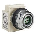 Product Image of 120V LED Indicating Light With Screw Clamp Connector, 9001KP38LG