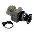 Product Image of 30mm Mounting Hole Dia. Maintained (MA) NC/NO 600VAC Push-Button Switch, 9001KR9P1GH13