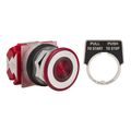Product Image of 30mm Mounting Hole Dia. Maintained (MA) 2NC 600VAC Push-Button Switch, 9001KR9RH8