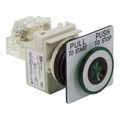 Product Image of 30mm Mounting Hole Dia. Maintained (MA) NC/NO 120VAC Push-Button Switch, 9001SKR9P1GH13