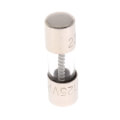 Product Image of Replacement Fuse - 6 Amp (10 Pack)