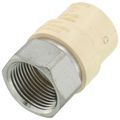 Product Image of 3/4" CPVC x Female Stainless Steel Adapter (Lead Free)