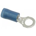 Product Image of D Ring Terminal, Nylon Insulated, 18 - 14 AWG, Crimp #10 Stud, 0.89" Long, Blue (Pack of 100), RB14-10