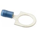 Product Image of D Ring Terminal, Nylon Insulated, 18 - 14 AWG, Crimp 1-1/4" Long, Blue (Pack of 100), RB14-12